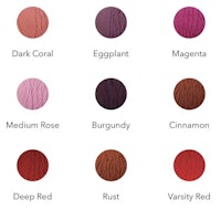 a chart showing the different colors of lip swatches